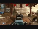 【CoD:BO2】 FALをさらに戦場に送りだす為に　【FAL布教】