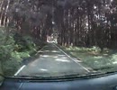【車載】山道ドライブ2013-11-4 山口県道134号 秋掛錦線 その４