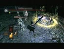 【ダークソウル】ミル姐が行くＤＬＣ５【８周目】