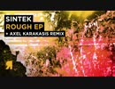 Sintek - Clean Evidence (Original Mix)