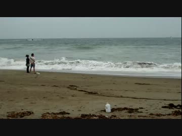 【渥美半島】ぷちゅっと単身生活【3週目】～残り2年11ヶ月～