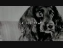 A DOG YEAR 1/5