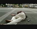 20130617-1 NER=ネル （仮）２ 2