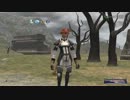カッパのFF11生活404　戦いの後のひととき