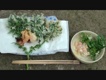 【自然を食べよう！】ザリガニ料理編　2/2　