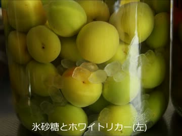 梅酒３種【作ってみた】