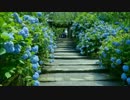 紫陽花の唄(歌入り).mpeg4.aac.mp4