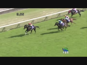 【競馬】第54回宝塚記念　出走馬