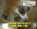 【速報】も↑こ↓の飼い主が逮捕