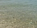 石川のMさんが来てくれた♪