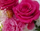 T.M.Revolution x 水樹奈々「Preserved Roses」歌ってみた hironoview x こまこま