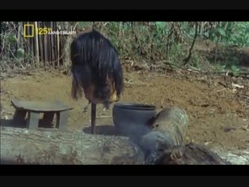 【呪いの】アマゾンの首狩り族を求めて_前編【儀式】