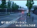 「帰り道テンプテーション」　歌ってみた／せっけんうさぎ