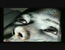 零~刺青の聲~モウネムレナイ...初見実況プレイpart5