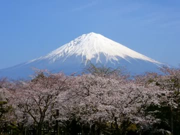 【世界遺産】富士山画像集【登録記念】