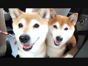 車内でニコニコなひかりといちご