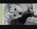 trim.FYSi81.MOV