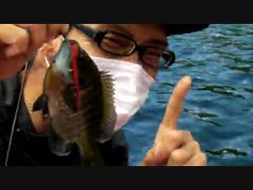 【ニコニコバス釣りダービー】埼玉、群馬遠征と多摩川などの釣行ですが