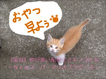【実況】仲が悪い配管工とキノコたち～part１～【wiiスーパーマリオ】