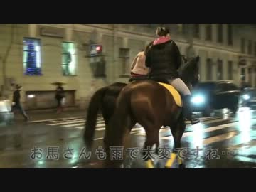 戦勝記念日　サンクトペテルブルク女１人旅　13.5.6～13.5.12　ⅩⅥ