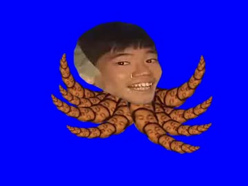 たこひでBB+使用例