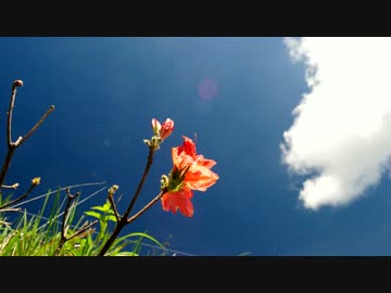 ビーナスラインツーリング 2013-06-23