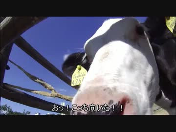 【BOSS&amp;MOM】とっとこ兵庫県ツーリング２【吉川】