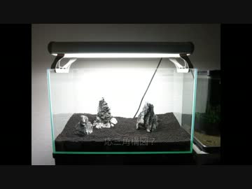 【アクアリウム】ネイチャーな水槽を立ち上げるゾ！【part1】