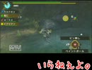 【見た目は大人女子】MHP3rd ～6狩目～【中身はこじらせ】