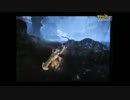 中国版MHオンラインのゲームプレイ映像【直撮り】
