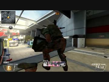 【CoD:BO2】えれ子の紅白戦（S＆D） :Part14【実況】