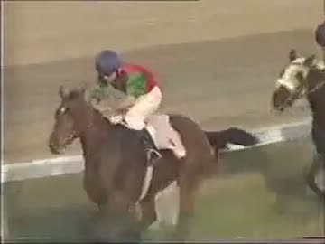 【世界の競馬場から】2006年アナルカリカップ　ビッグショー