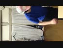 東方で踊ってみた