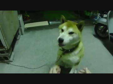 必殺　両手お手　改