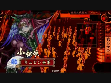 SS小松姫を使ってみた