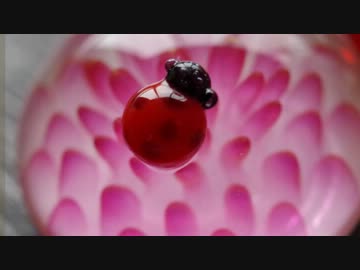 【ガラスで】かわいいは作れる【てんとう虫】