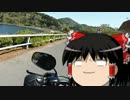 テスト動画