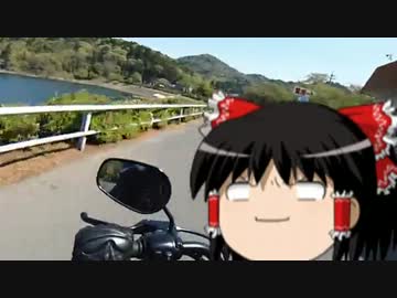 テスト動画
