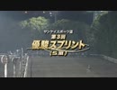 2013年 第3回 優駿スプリント(SIII)