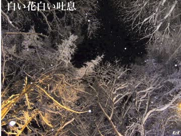 白い花と白い吐息【イッキ門】NNIオリジナル曲！！！