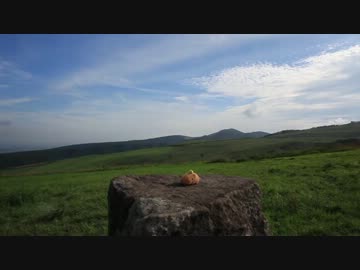 【ねんがんのバイクをてにいれたぞ】北海道編 その6