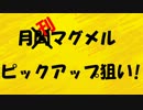 ウェアラブルカメラを用いたBB遊戯時の視線及び腕部の動作の実験