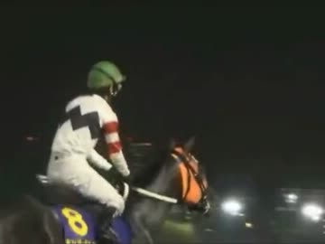 【永井先生】帝王賞観戦