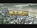 2013年 第36回 帝王賞(JpnI)