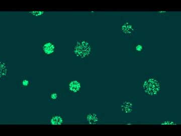【NNI】タイトルなし