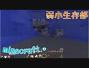 【Minecraft実況】魔法の世界で生き抜きたいっ Part4