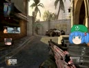 【ＣＯＤ：ＢＯ２】プレマスデータをステリセットしたい【番外編】
