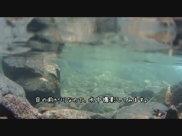 ソロキャンプに行ってみた（道志の森キャンプ場）～前編