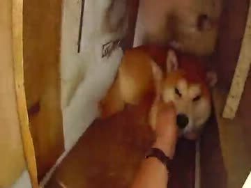 お眠お眠