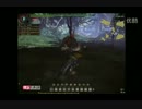 中国のモンスターハンターonlineビーバー獣討伐実戦動画